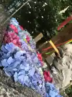 滑川神社 - 仕事と子どもの守り神の手水舎