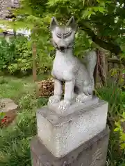 東山稲荷神社の狛犬