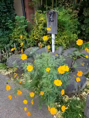 鷺宮八幡神社(東京都)