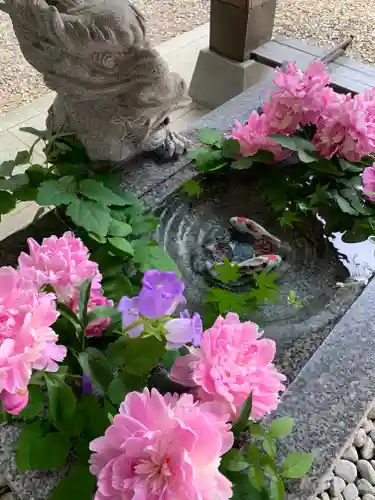 滑川神社 - 仕事と子どもの守り神(福島県)