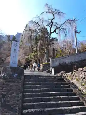 妙義神社(群馬県)