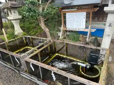 神館飯野高市本多神社(三重県)