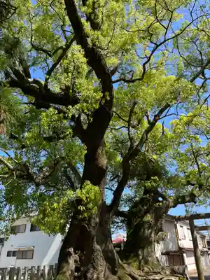 補陀洛山寺(和歌山県)