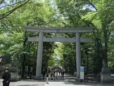 大國魂神社の鳥居