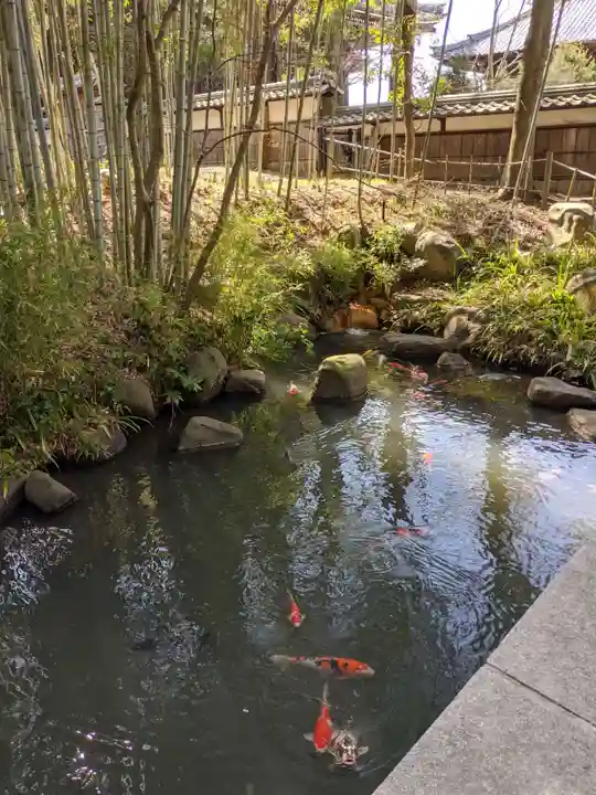 本山専修寺の庭園