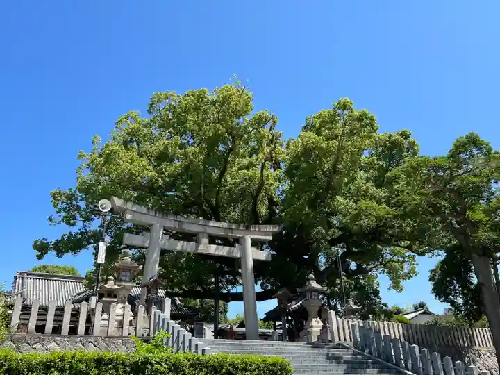 百舌鳥八幡宮(大阪府)