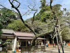 息栖神社の建物その他