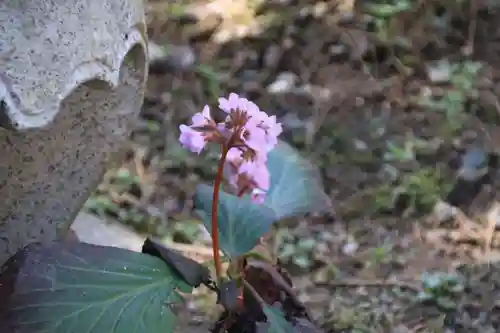 御嶽山神社の庭園