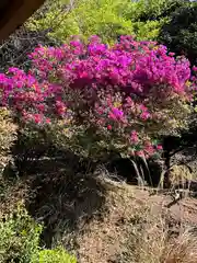 木舟山　順教寺の庭園