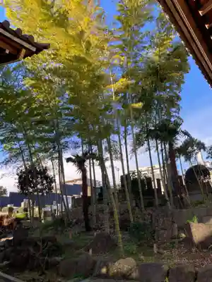 大林寺(神奈川県)