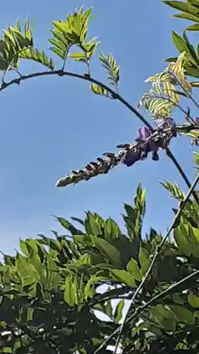 西方山極楽寺(岐阜県)