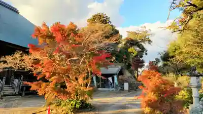 石堂寺(千葉県)