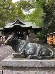 谷保天満宮の狛犬