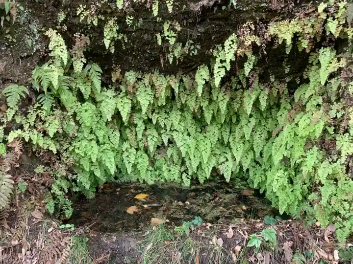 八坂神社(千葉県)