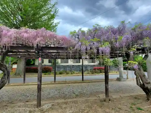大天白神社の自然