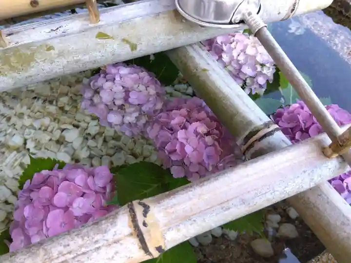 伊豆神社(滋賀県)