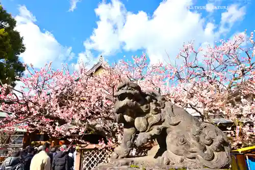 湯島天満宮(東京都)