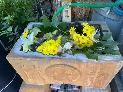 菊名神社の手水舎