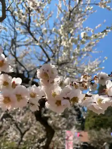芳賀天満宮(栃木県)