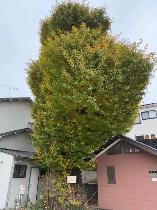 道入庵(千葉県)