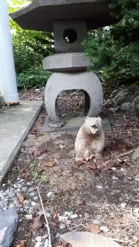 留寿都神社の狛犬