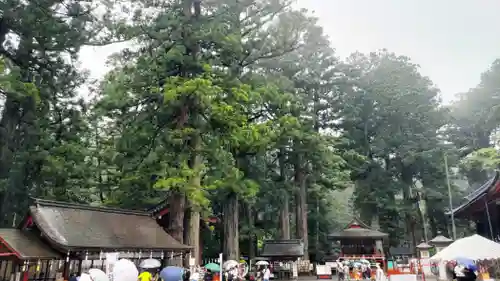 日光二荒山神社(栃木県)