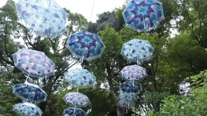 柳谷観音 楊谷寺(京都府)