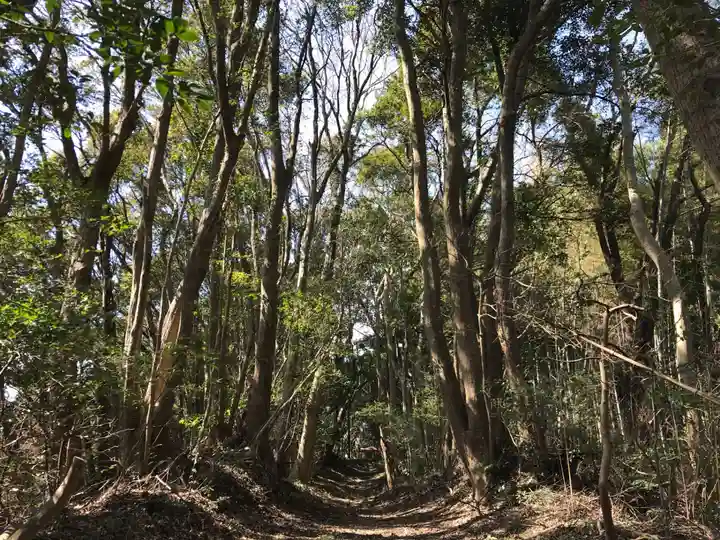 旧愛宕神社の自然