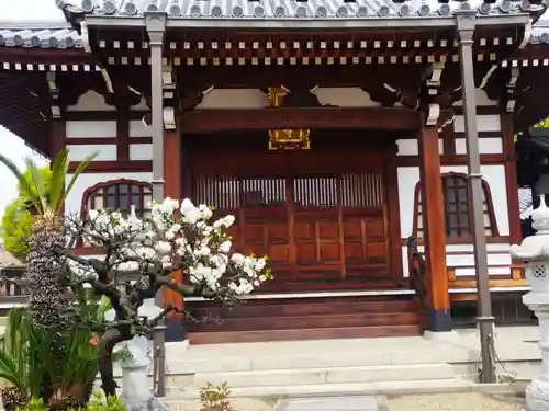 母恩寺(大阪府)