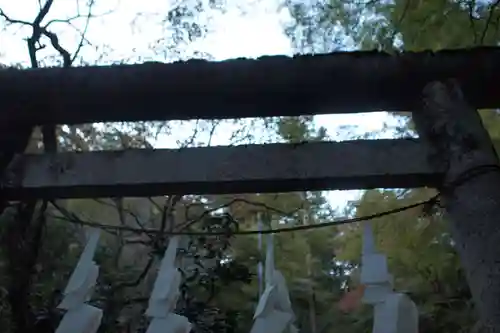 秩父御嶽神社の鳥居