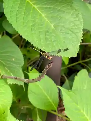 妻沼聖天山歓喜院(埼玉県)