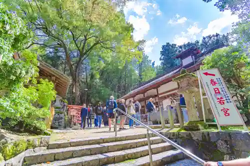 春日大社 若宮（春日若宮）(奈良県)