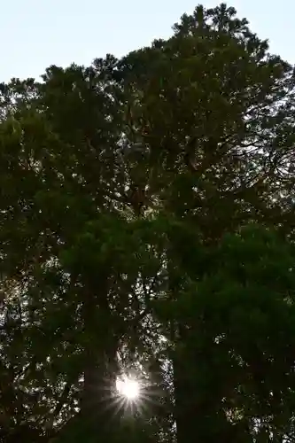 河内白王神社(高知県)