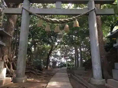 児玉神社の鳥居