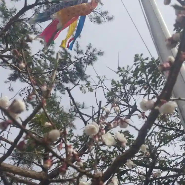 彌彦神社 (伊夜日子神社)の自然