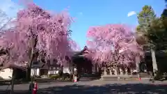 赤門の寺　法蔵寺(栃木県)