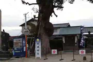 月讀神社(水田天満宮境内社)(福岡県)