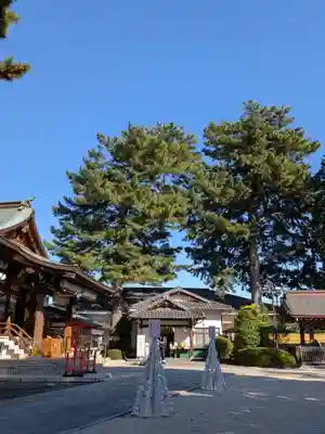 中野沼袋氷川神社(東京都)