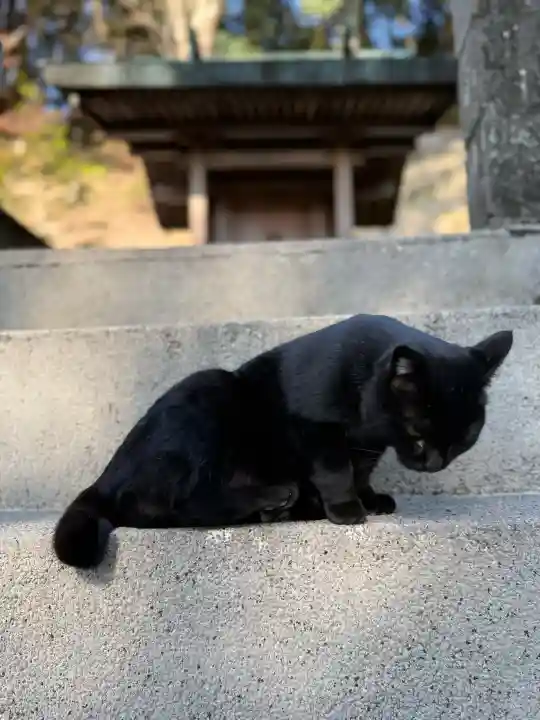 上岩出神社の{uncategorized: "未分類", other: "その他", undefined: "問題あり", building: "その他建物", grave: "お墓", sacred_gate: "鳥居", guardian: "狛犬", statue: "像", buddha: "仏像", history: "歴史", nature: "自然", garden: "庭園", animal: "動物", pagoda: "塔", temizu: "手水舎", mountain_gate: "山門・神門", sanctuary: "本殿・本堂", subordinate: "末社・摂社", art: "芸術", scenery: "景色", jizo: "地蔵", ema: "絵馬", goshuin: "御朱印", omikuji: "おみくじ", items: "授与品その他", amulet: "お守り", goshuincho: "御朱印帳", eats: "食事", festival: "お祭り", votive_dance: "神楽", shichigosan: "七五三参", wedding: "結婚式", experience: "体験その他", initially: "初詣", around: "周辺", anti_infection: "感染症対策"}