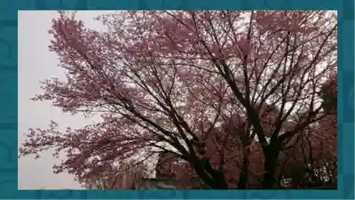 密藏院(埼玉県)