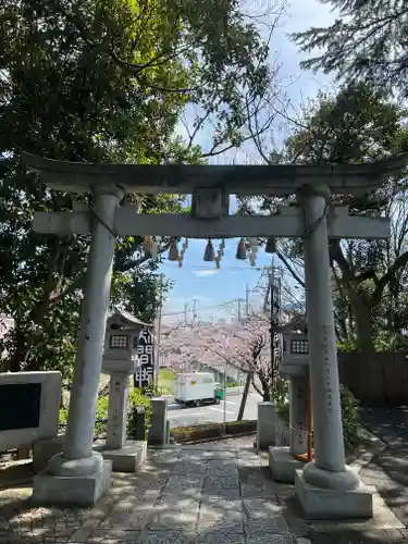 多摩川浅間神社の鳥居