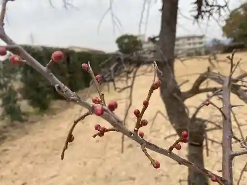 美奈宜神社の自然