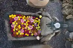 大鏑神社の手水