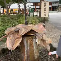 櫻木神社(千葉県)