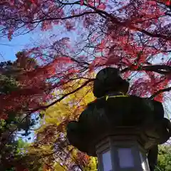 神炊館神社 ⁂奥州須賀川総鎮守⁂の景色