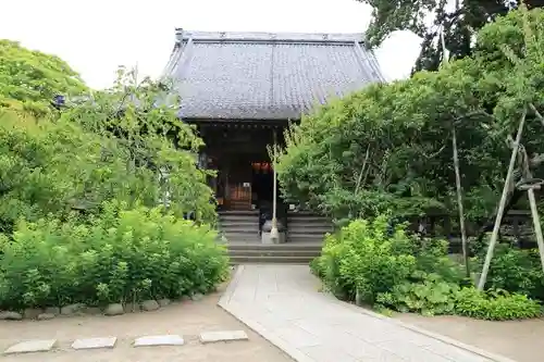杉本寺(神奈川県)