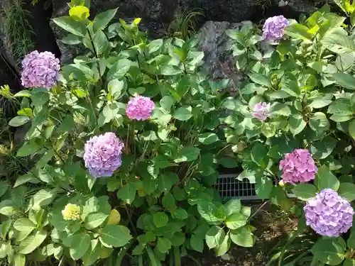 浄心寺(埼玉県)