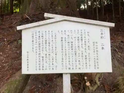 新宮神社の歴史