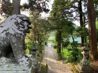 日月神社の狛犬