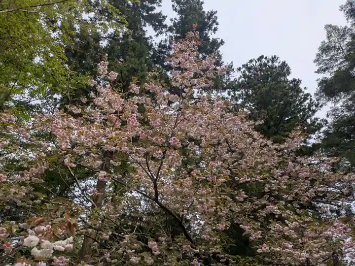 成相寺(京都府)